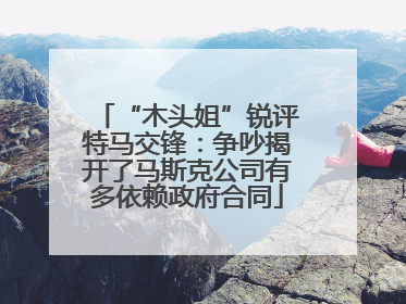 “木头姐”锐评特马交锋：争吵揭开了马斯克公司有多依赖政府合同