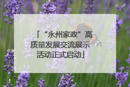 “永州家政”高质量发展交流展示活动正式启动