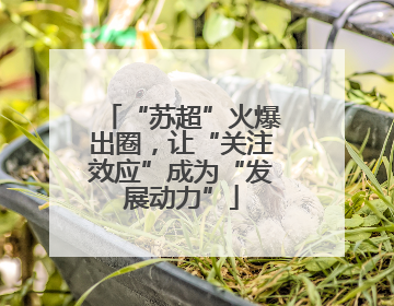 “苏超”火爆出圈，让“关注效应”成为“发展动力”