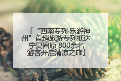 “西南专列·乐游神州”首趟旅游专列抵达宁夏固原 800余名游客开启清凉之旅