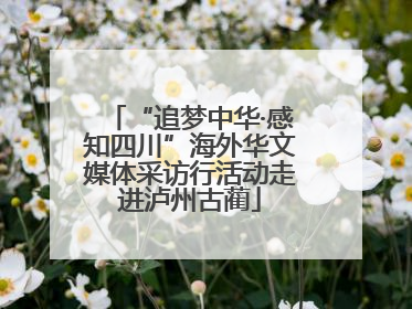 “追梦中华·感知四川”海外华文媒体采访行活动走进泸州古蔺