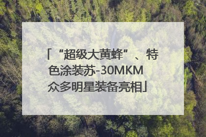 “超级大黄蜂”、特色涂装苏-30MKM 众多明星装备亮相