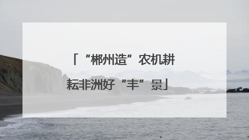“郴州造”农机耕耘非洲好“丰”景