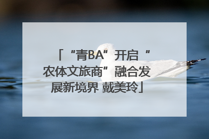 “青BA”开启“农体文旅商”融合发展新境界 戴美玲