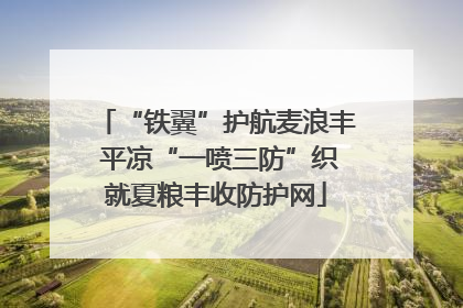 “铁翼”护航麦浪丰 平凉“一喷三防”织就夏粮丰收防护网