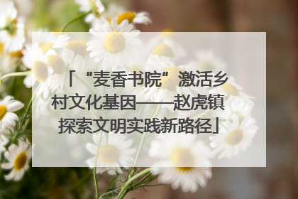 “麦香书院”激活乡村文化基因——赵虎镇探索文明实践新路径