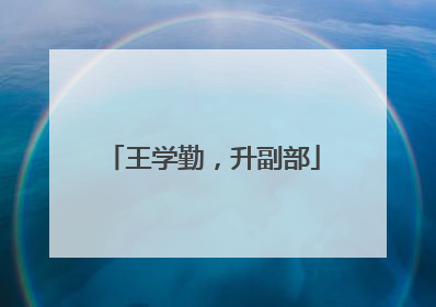 王学勤，升副部