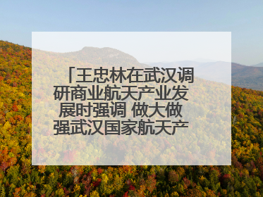 王忠林在武汉调研商业航天产业发展时强调 做大做强武汉国家航天产业基地 打造具有全国影响力的“中国星谷”