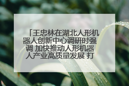 王忠林在湖北人形机器人创新中心调研时强调 加快推动人形机器人产业高质量发展 打造具有全国影响力的研发创新基地