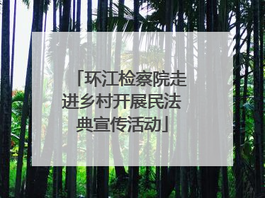 环江检察院走进乡村开展民法典宣传活动