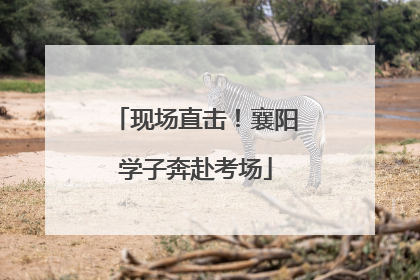 现场直击！襄阳学子奔赴考场