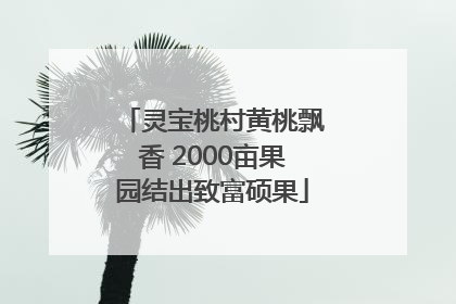 灵宝桃村黄桃飘香 2000亩果园结出致富硕果