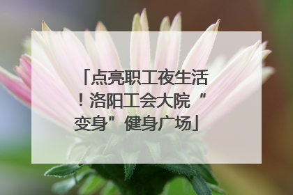 点亮职工夜生活！洛阳工会大院“变身”健身广场