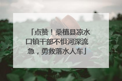 点赞！桑植县凉水口镇干部不惧河深流急，勇救落水人车