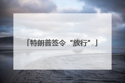 特朗普签令“放行”