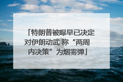 特朗普被曝早已决定对伊朗动武 称“两周内决策”为烟雾弹