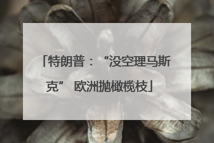 特朗普：“没空理马斯克” 欧洲抛橄榄枝