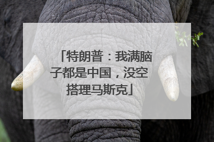 特朗普：我满脑子都是中国，没空搭理马斯克