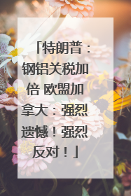 特朗普：钢铝关税加倍 欧盟加拿大：强烈遗憾！强烈反对！