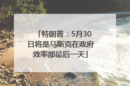 特朗普：5月30日将是马斯克在政府效率部最后一天