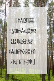 特朗普-马斯克联盟出现分裂 特斯拉股价承压下挫