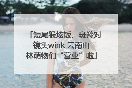 短尾猴炫饭、斑羚对镜头wink 云南山林萌物们“营业”啦