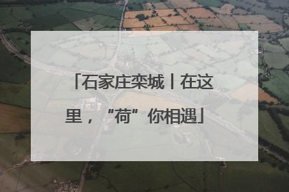 石家庄栾城丨在这里，“荷”你相遇