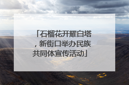 石榴花开耀白塔，新街口举办民族共同体宣传活动