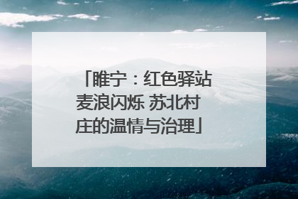 睢宁：红色驿站麦浪闪烁 苏北村庄的温情与治理