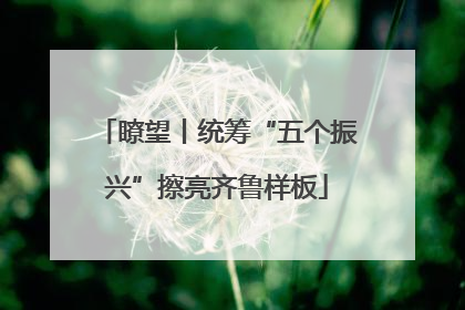 瞭望丨统筹“五个振兴”擦亮齐鲁样板