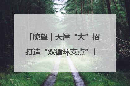 瞭望｜天津“大”招打造“双循环支点”