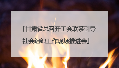 甘肃省总召开工会联系引导社会组织工作现场推进会