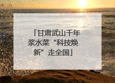 甘肃武山千年浆水菜“科技焕新”走全国