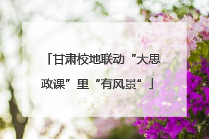 甘肃校地联动“大思政课”里“有风景”