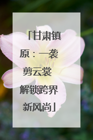 甘肃镇原：一袭剪云裳 解锁跨界新风尚
