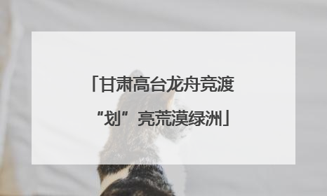 甘肃高台龙舟竞渡“划”亮荒漠绿洲