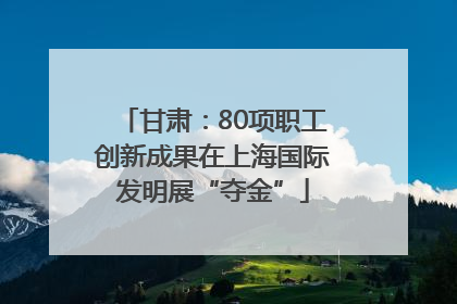 甘肃：80项职工创新成果在上海国际发明展“夺金”