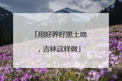 用好养好黑土地，吉林这样做
