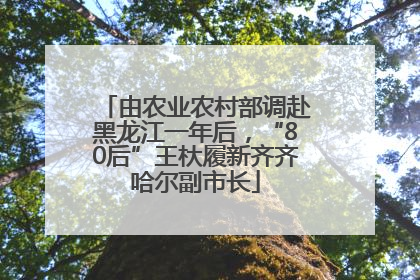 由农业农村部调赴黑龙江一年后，“80后”王杕履新齐齐哈尔副市长