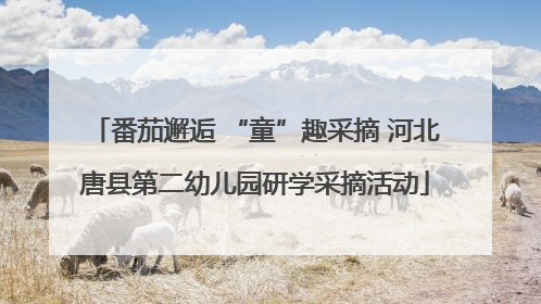 番茄邂逅 “童”趣采摘 河北唐县第二幼儿园研学采摘活动