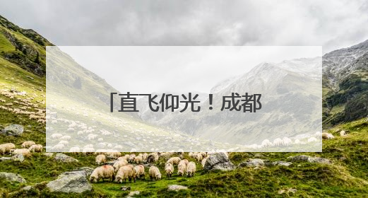 直飞仰光！成都再添一条国际货运航线，青蟹龙虾速达市民餐桌