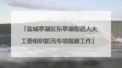 盐城亭湖区东亭湖街道人大工委组织防汛专项视察工作