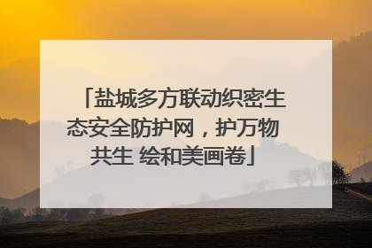 盐城多方联动织密生态安全防护网，护万物共生 绘和美画卷