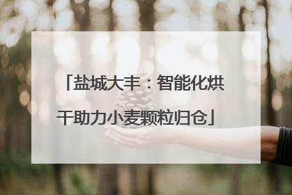 盐城大丰：智能化烘干助力小麦颗粒归仓