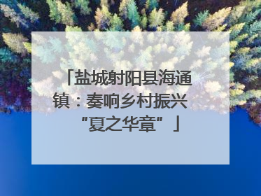 盐城射阳县海通镇：奏响乡村振兴“夏之华章”