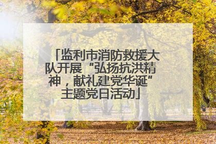 监利市消防救援大队开展“弘扬抗洪精神，献礼建党华诞”主题党日活动