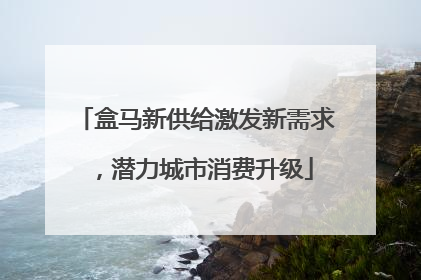 盒马新供给激发新需求，潜力城市消费升级