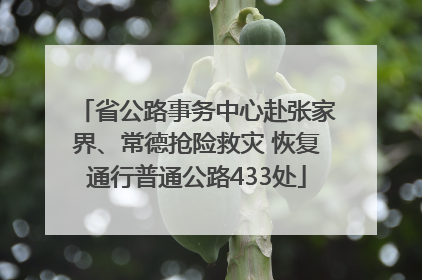 省公路事务中心赴张家界、常德抢险救灾 恢复通行普通公路433处