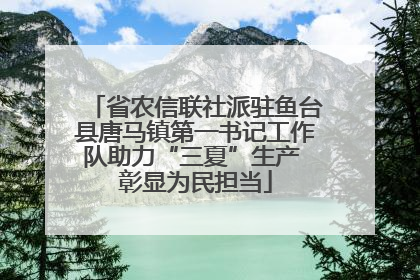 省农信联社派驻鱼台县唐马镇第一书记工作队助力“三夏”生产 彰显为民担当