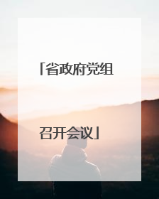 省政府党组召开会议